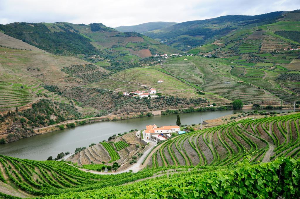 Hotel Rural Quinta Do Pego Tabuaço Dış mekan fotoğraf