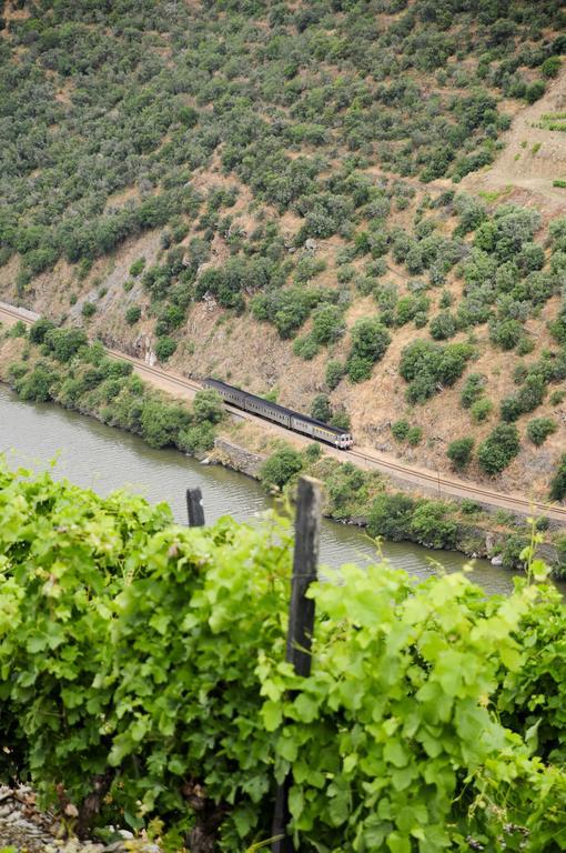 Hotel Rural Quinta Do Pego Tabuaço Dış mekan fotoğraf