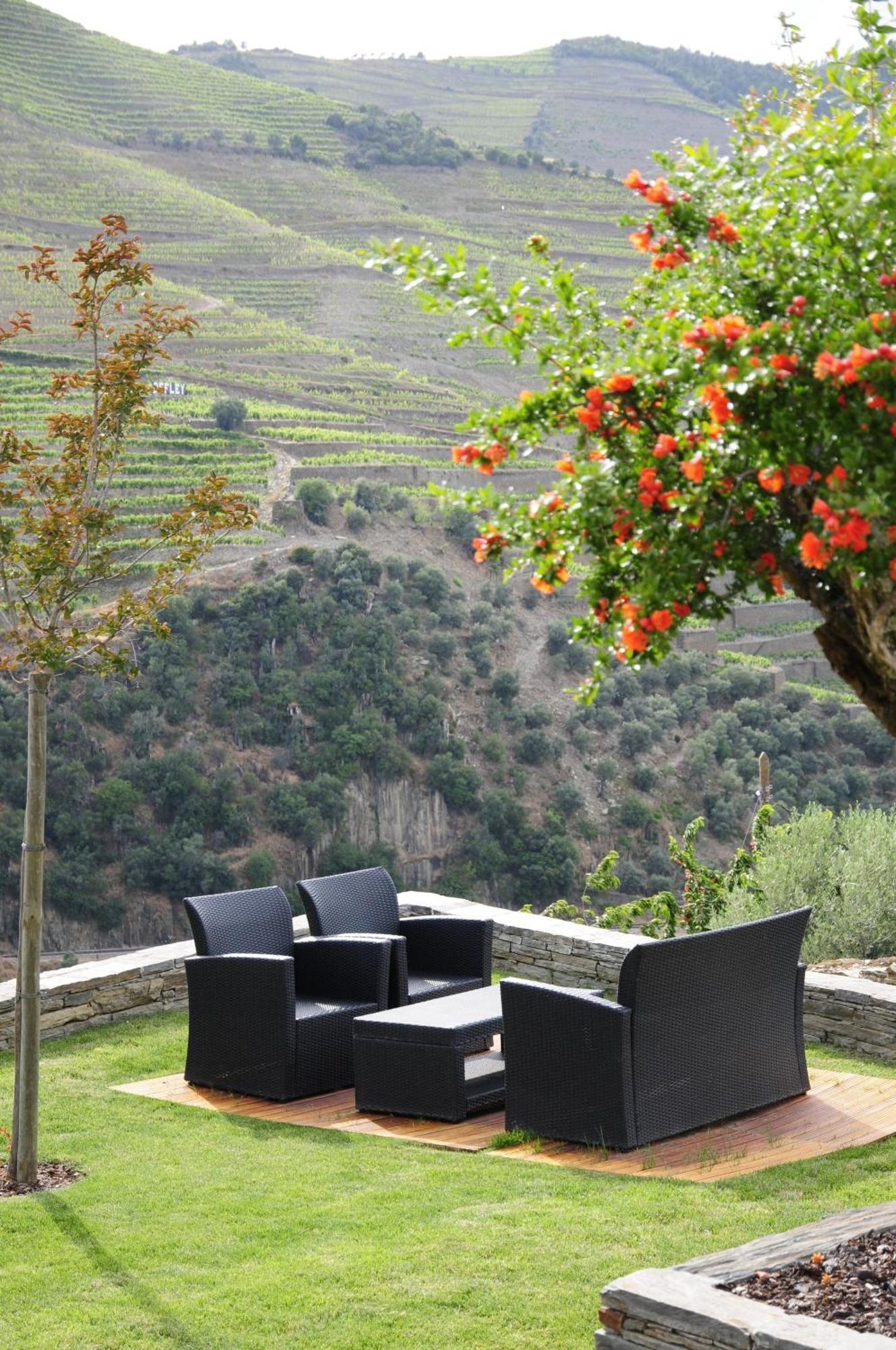 Hotel Rural Quinta Do Pego Tabuaço Dış mekan fotoğraf