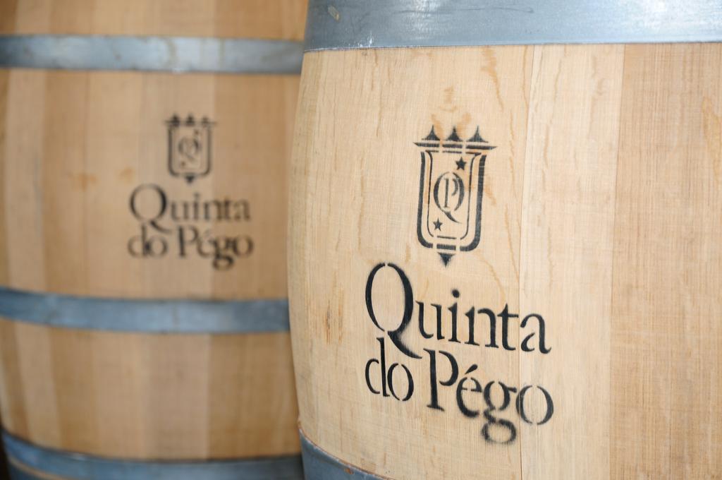 Hotel Rural Quinta Do Pego Tabuaço Dış mekan fotoğraf